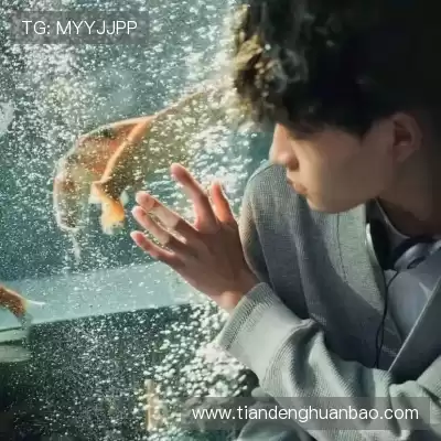孔铃媚